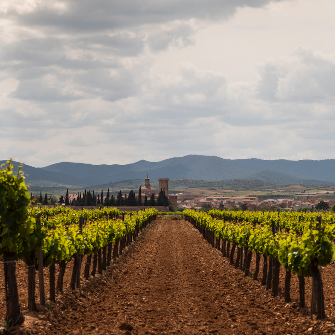 Destination Cariñena, ville européenne du vin et Saragosse, Capitale Mondiale du Grenache